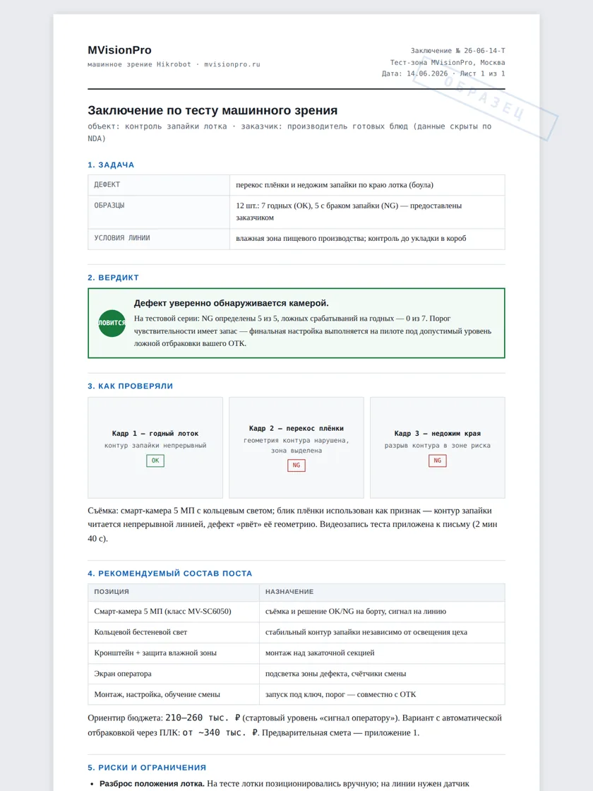 Sample machine vision test report